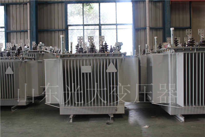 阳城S20-500KVA/10KV